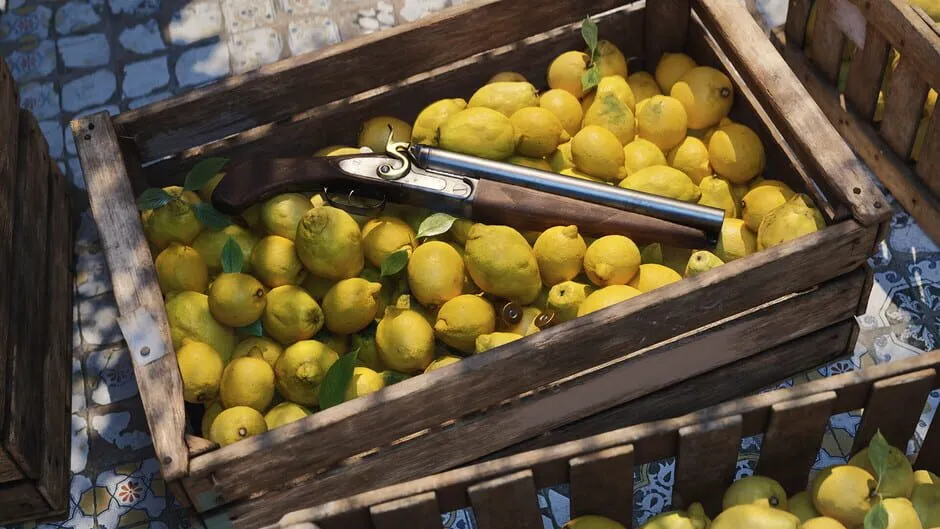 A shotgun lying in a wooden crate full of lemons