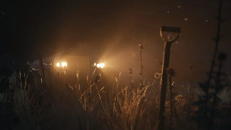 Car headlights glowing through the dark over a field at night