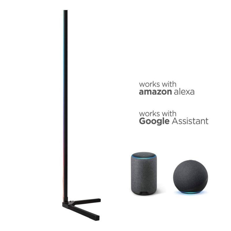 S1906219_13 S1906219_13