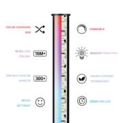 S1906219_1 S1906219_1