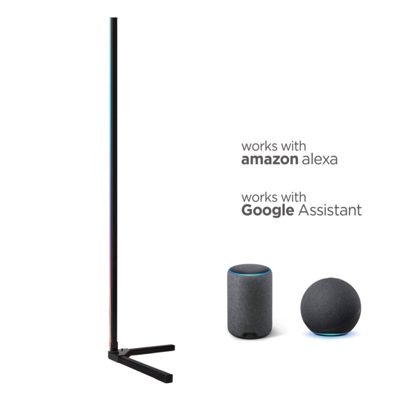 S1906219_4 S1906219_4