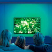 S1906718_1 S1906718_1